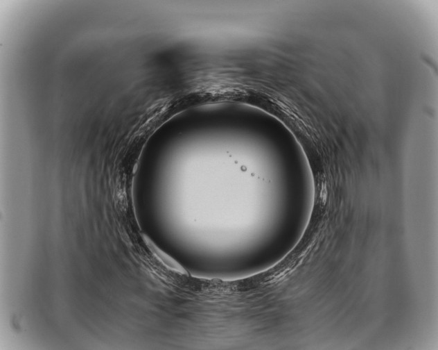X0000094930771200711291334