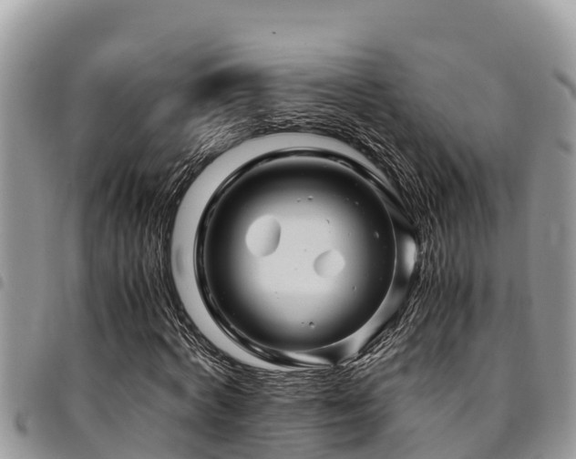 X0000094930772200711291334
