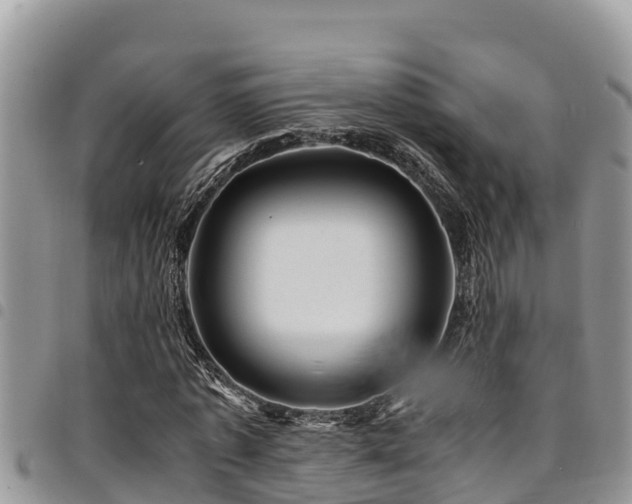 X0000094930773200711291334