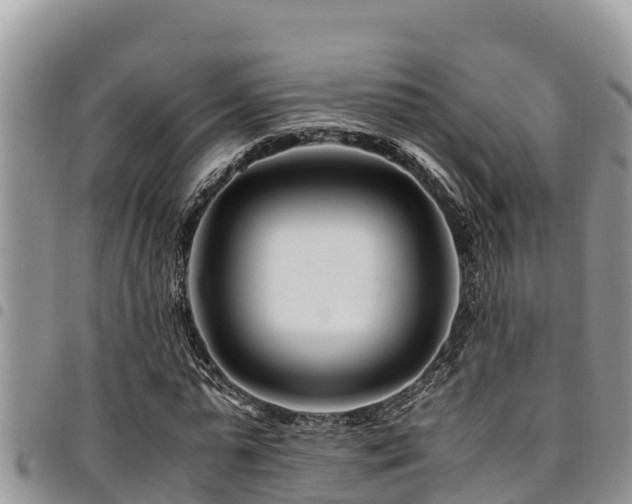 X0000094930775200711291334