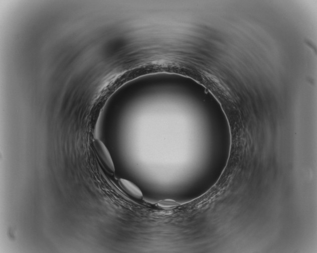X0000094930776200711291334