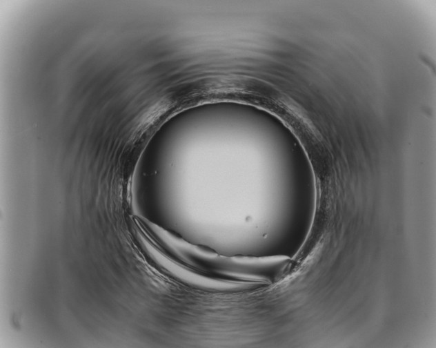 X0000094930777200711291334