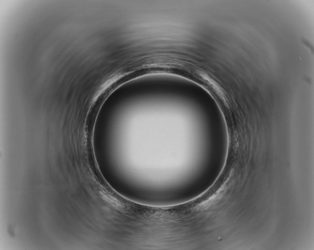 X0000094930779200711291333