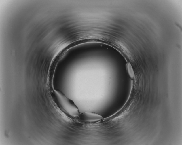 X0000094930780200711291333