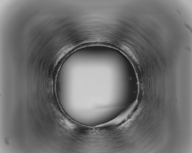 X0000094930781200711291333