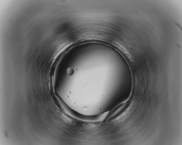 X0000094930782200711291333