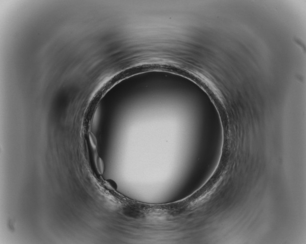 X0000094930783200711291333
