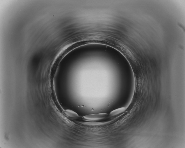 X0000094930784200711291333