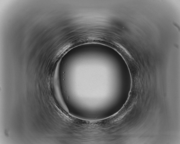 X0000094930785200711291333