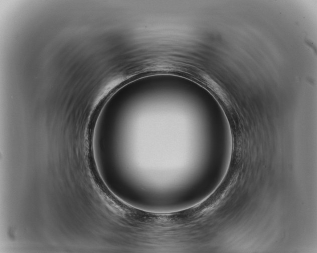 X0000094930787200711291333