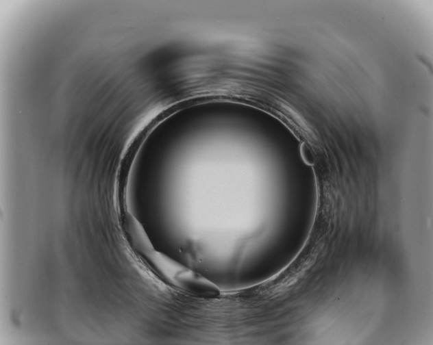 X0000094930788200711291333