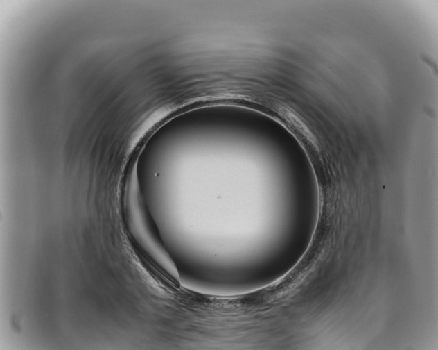 X0000094930789200711291333