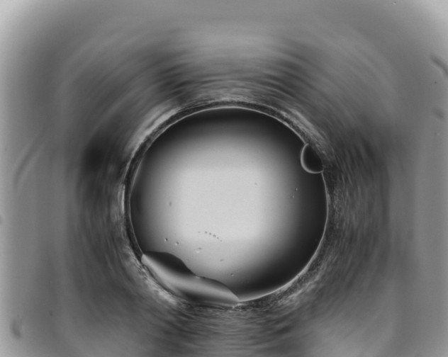 X0000094930790200711291333