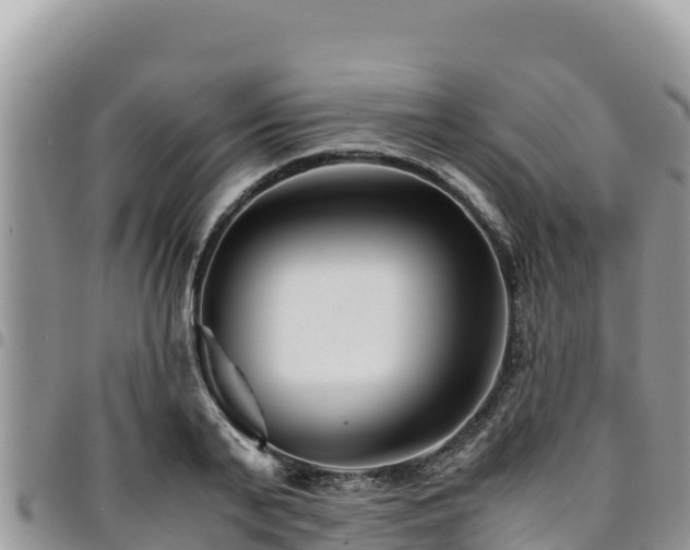 X0000094930791200711291333