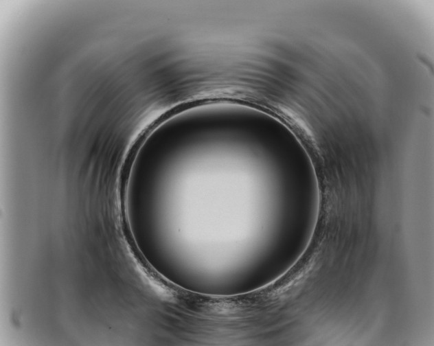X0000094930792200711291333