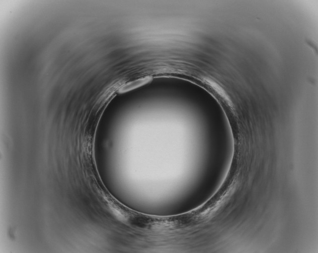 X0000094930793200711291333