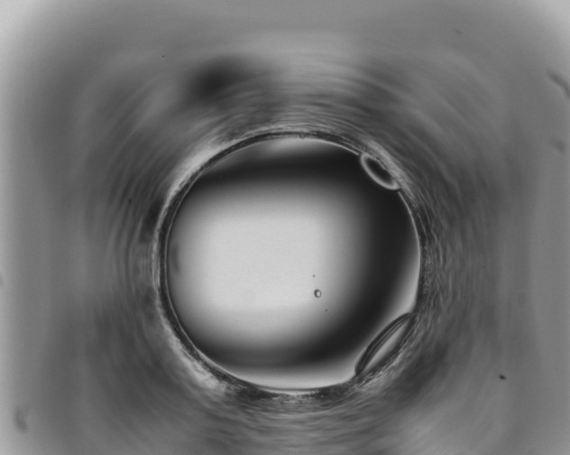 X0000094930795200711291333