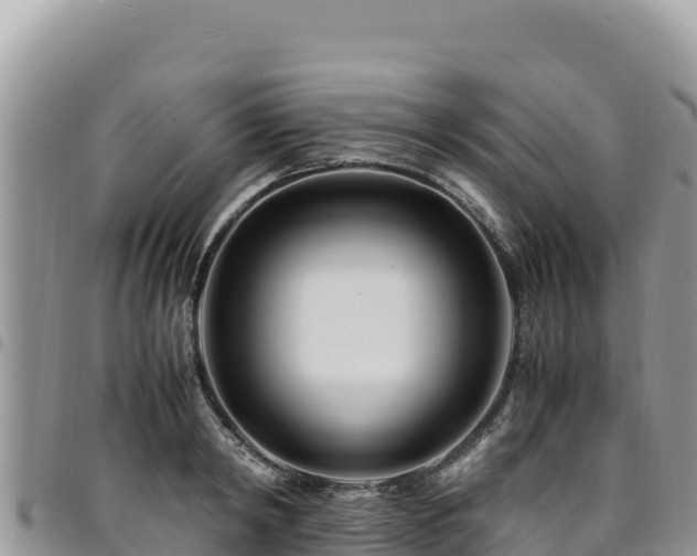 X0000094930798200711291333