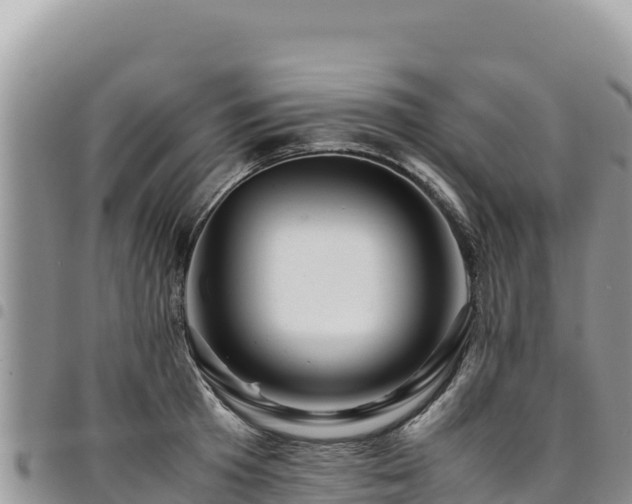 X0000094930801200711291333