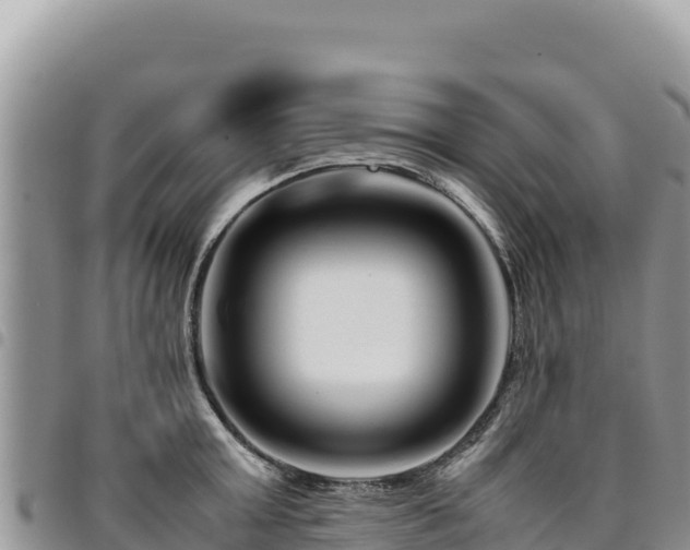 X0000094930803200711291333