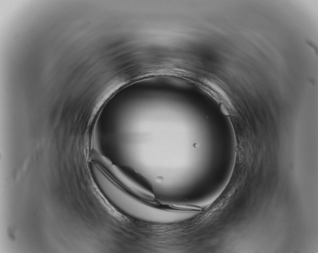 X0000094930804200711291333