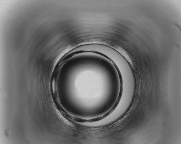 X0000094930805200711291333