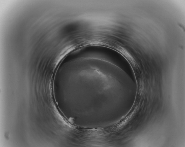 X0000094930806200711291333