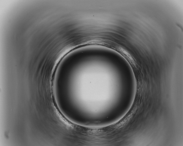 X0000094930808200711291333