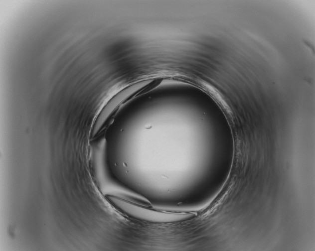 X0000094930810200711291333