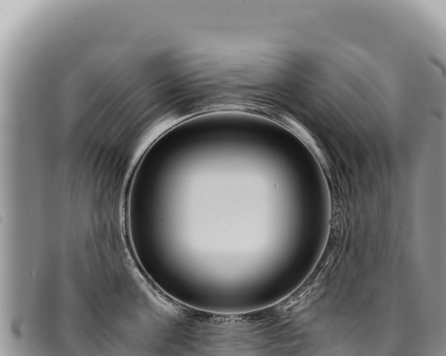 X0000094930811200711291333