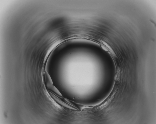X0000094930812200711291333