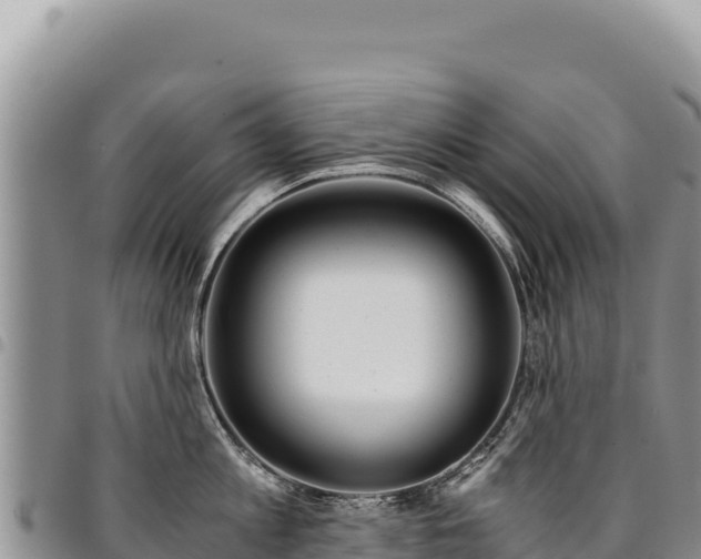 X0000094930813200711291333