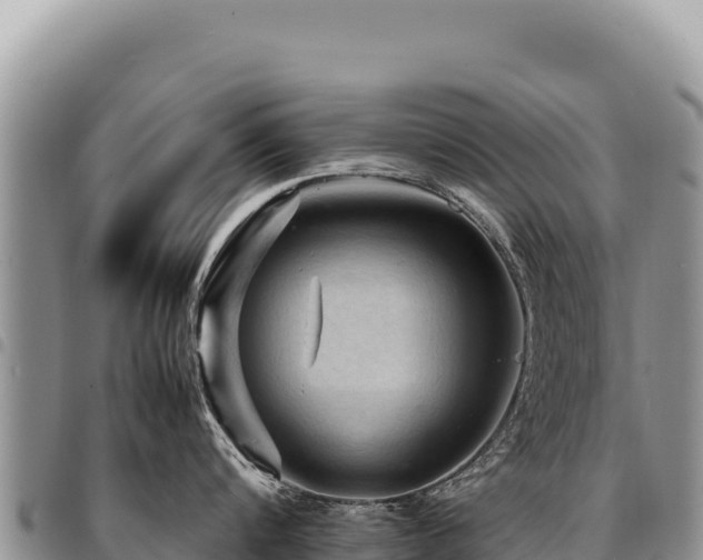 X0000094930816200711291333