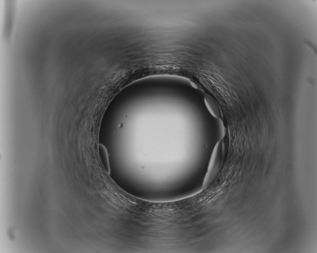 X0000094930817200711291332