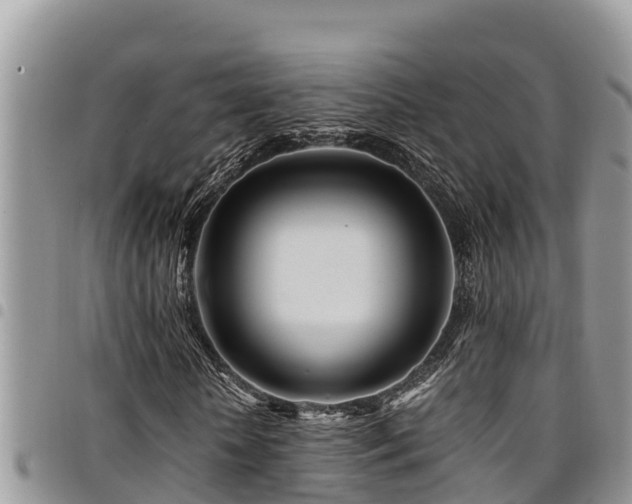 X0000094930818200711291332