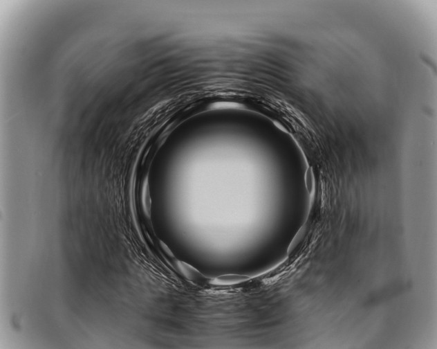 X0000094930821200711291332