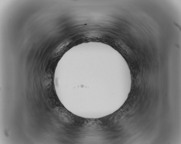 X0000094930824200711291332