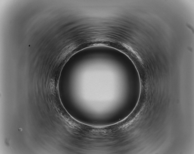 X0000094930825200711291332
