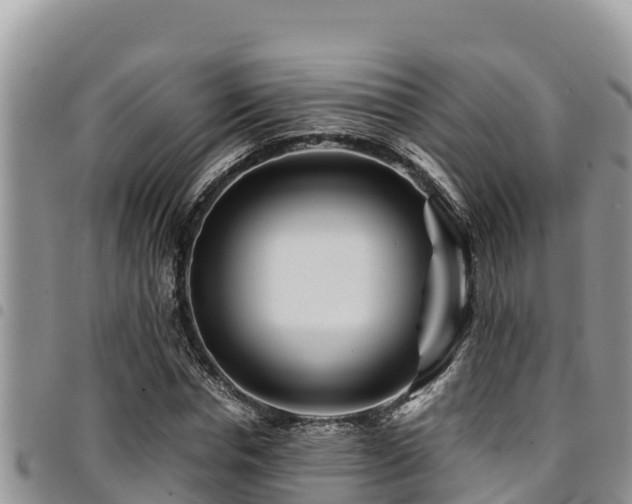 X0000094930826200711291332