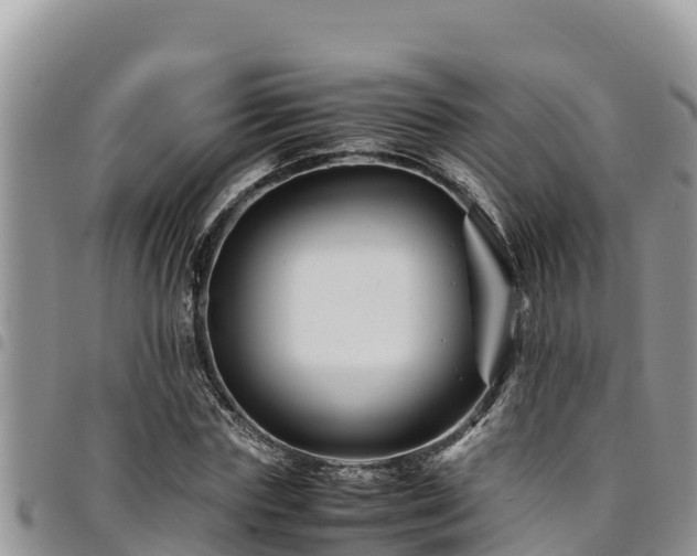 X0000094930827200711291332