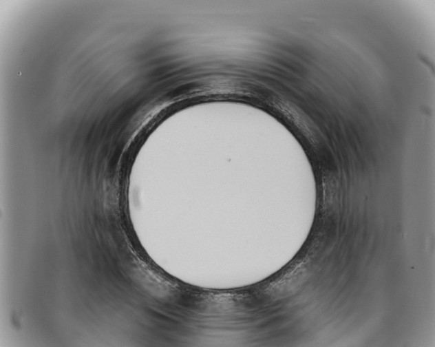 X0000094930828200711291332