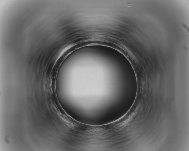 X0000094930830200711291333