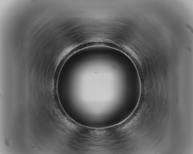 X0000094930831200711291333
