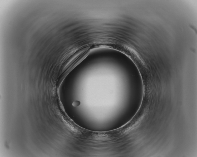 X0000094930833200711291333