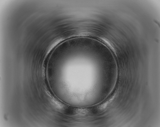 X0000094930835200711291333