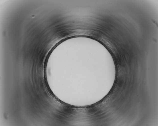 X0000094930836200711291333