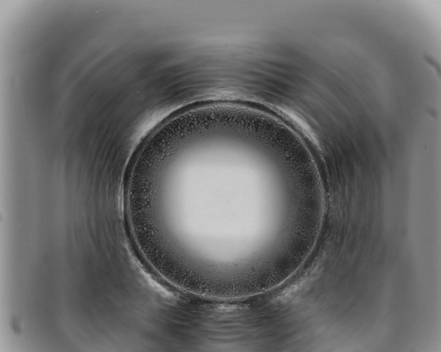 X0000094930839200711291333