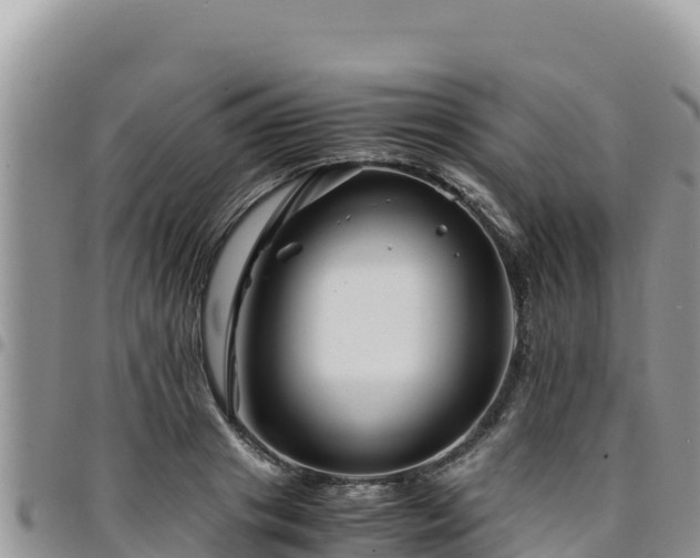 X0000094930841200711291333