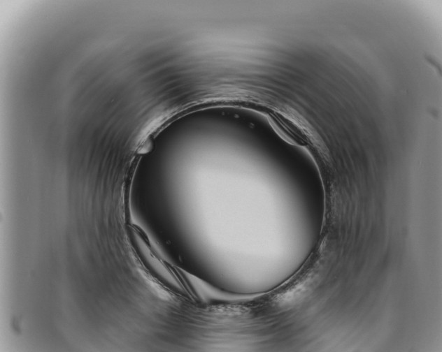 X0000094930842200711291333