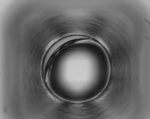 X0000094930845200711291333